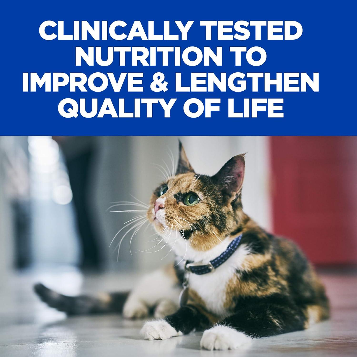 imageHills Prescription Diet kd Early Support Kidney Care Chicken Flavor Dry Cat Food Veterinary Diet 4 lb BagChicken