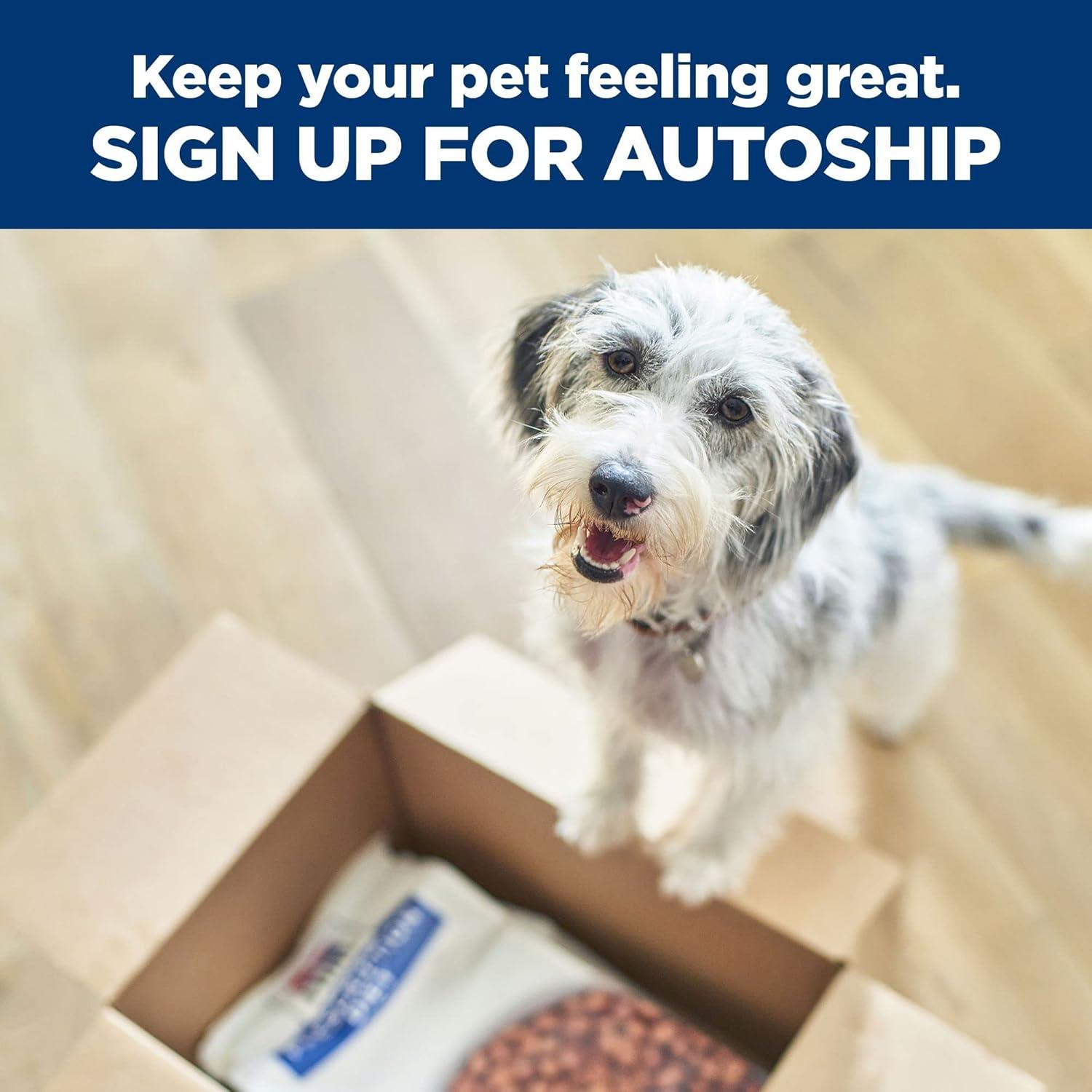 imageHills Prescription Diet sd Urinary Care Wet Dog Food Veterinary Diet 13 oz Cans 12Pack