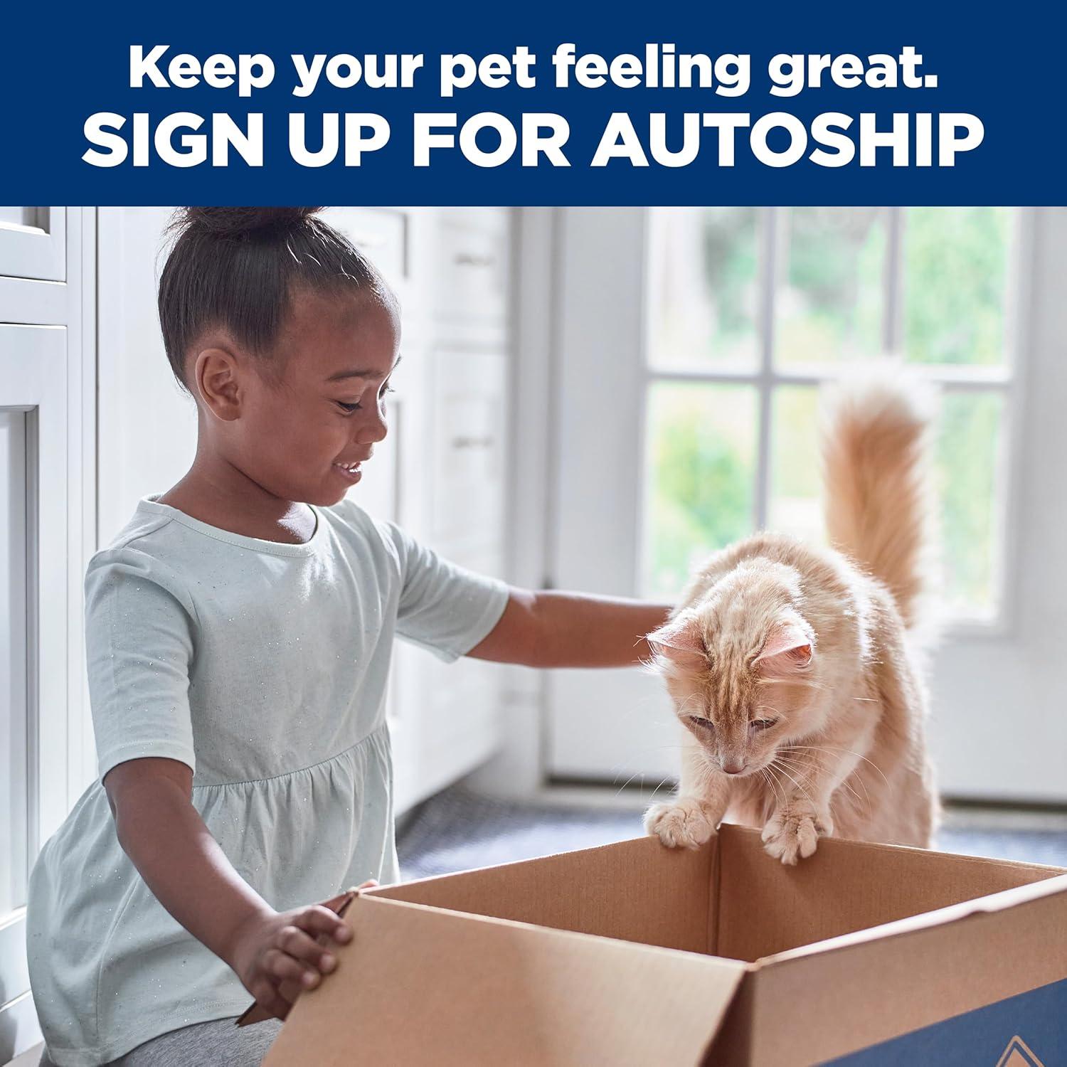 imageHills Science Diet Kitten Kitten Premium Nutrition Wet Cat Food Chicken Stew 28 oz Pouch Case of 24Chicken Vegetables Stew