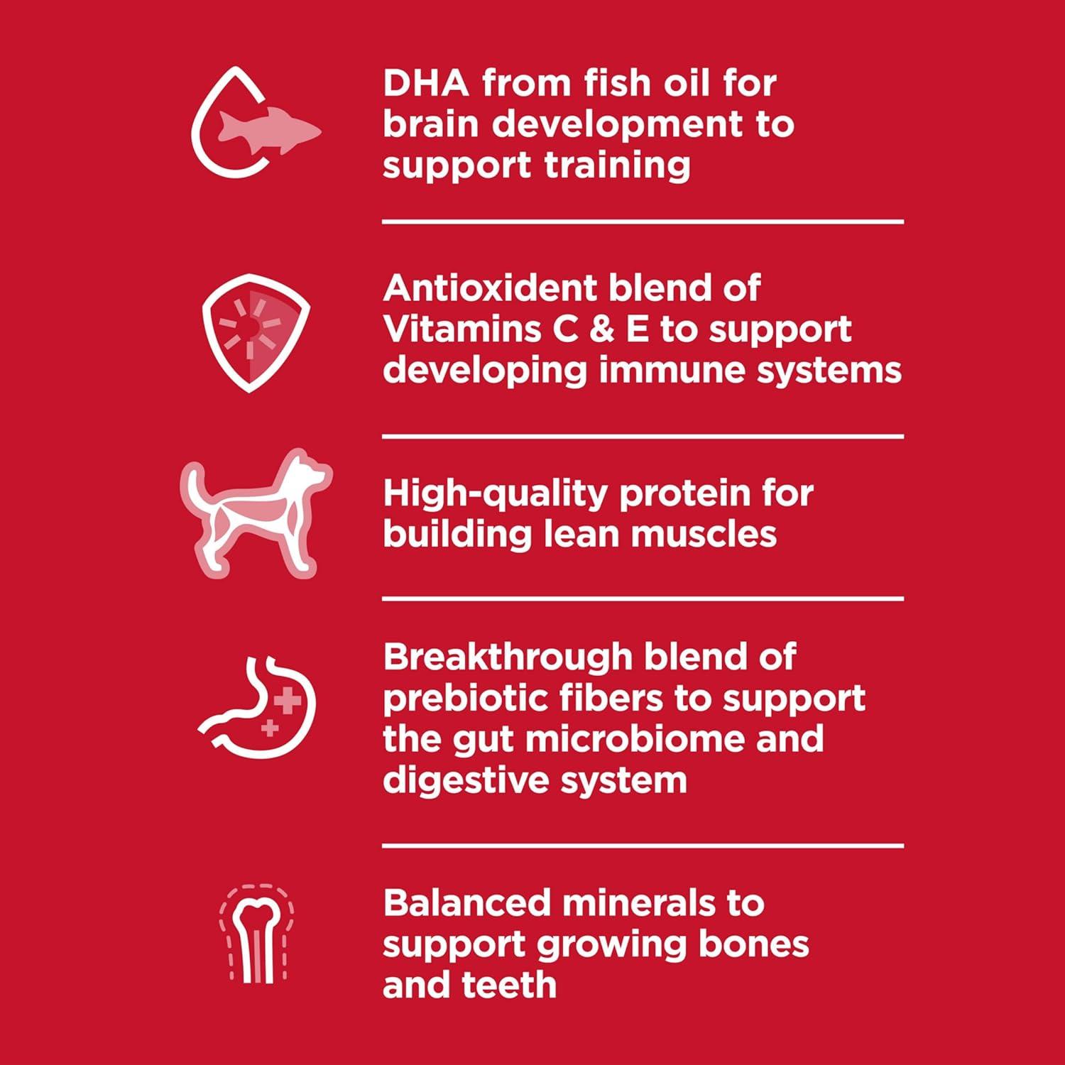 imageHills Science Diet Kitten Kitten Premium Nutrition Wet Cat Food Turkey Minced 55 oz Can Case of 24Liver Chicken Minced