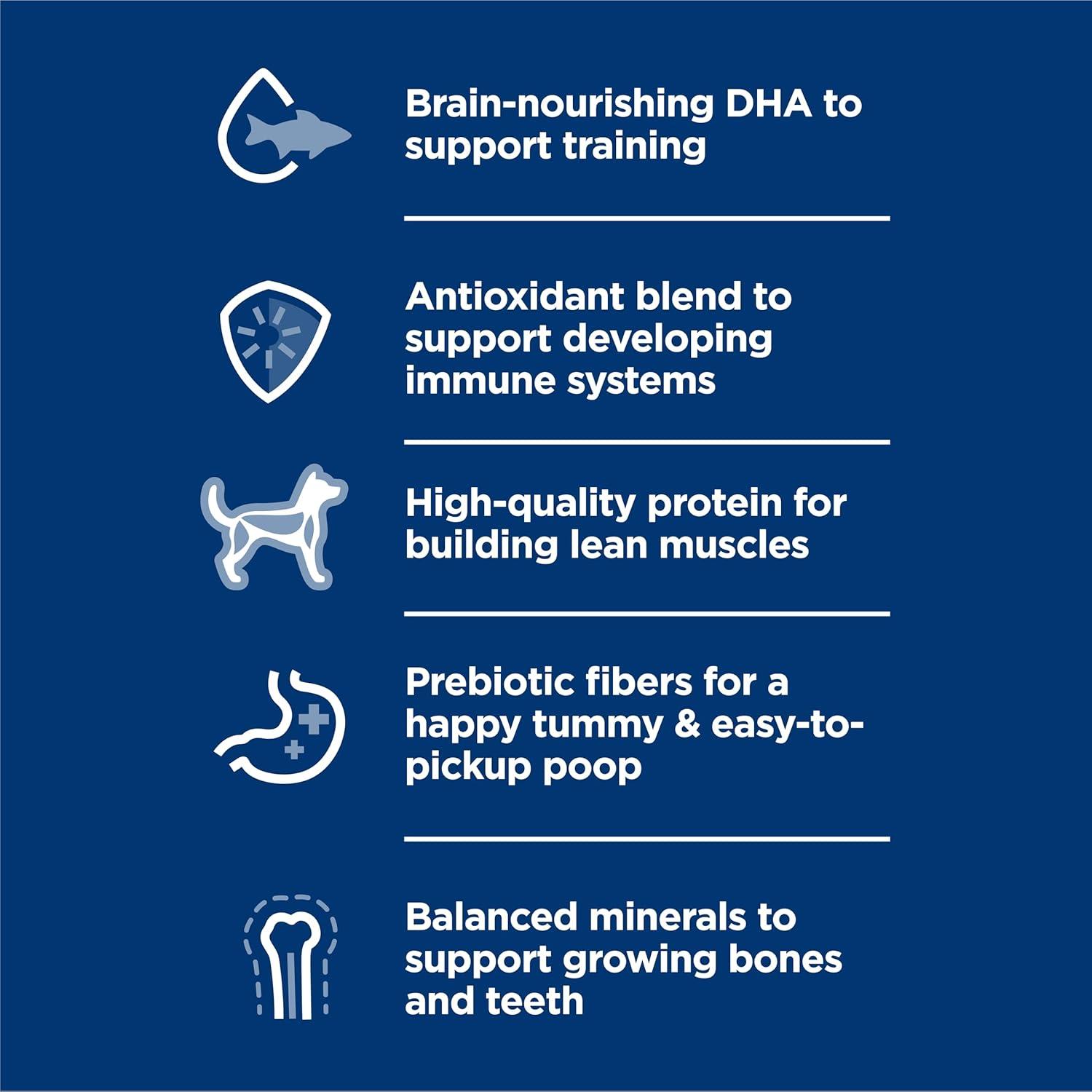 imageHills Science Diet Puppy Puppy Premium Nutrition Wet Dog Food Chicken ampamp Barley Loaf 13 oz Can Case of 12Chicken Barley Loaf