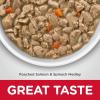 Hill’s Science Diet Indoor, Adult 1-6, Easy Litter Box Cleanup, Wet Cat Food, Chicken Minced, 5.5 oz Can, Case of 24(Poached Salmon)