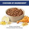 Hill’s Science Diet Large Breed Puppy Food, DHA to Support Healthy Development, Chicken & Brown Rice Dry Dog Food, 15.5 lb. Bag(Chicken & Brown Rice)