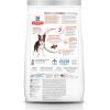 Hill’s Science Diet Perfect Digestion, Adult 1-6, Digestive Support, Dry Dog Food, Salmon, Brown Rice, & Whole Oats, 22 lb Bag(Salmon  Brown Rice  & Whole Oats)