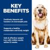 Hill’s Science Diet Perfect Weight, Adult 1-6, Weight Management Support, Dry Dog Food, Chicken & Brown Rice, 12 lb. Bag(Chicken & Brown Rice)