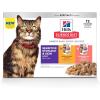 Hill’s Science Diet Sensitive Stomach & Skin, Adult 1-6, Stomach & Skin Sensitivity Support, Wet Cat Food, Variety Pack: Chicken & Beef; Salmon & Tuna Stew, 2.8 oz Pouch Variety Pack, Case of 12(Variety Pack: Chicken & Beef; Salmon & Tuna Stew)